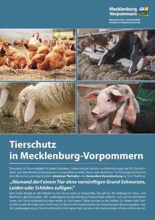 Informationsblatt Tierschutz in M-V