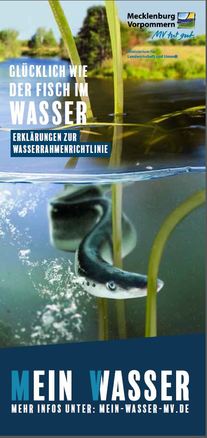 Titelblatt Glücklich wie ein Fisch im Wasser - Erklärungen zur Wasserrahmenrichtlinie