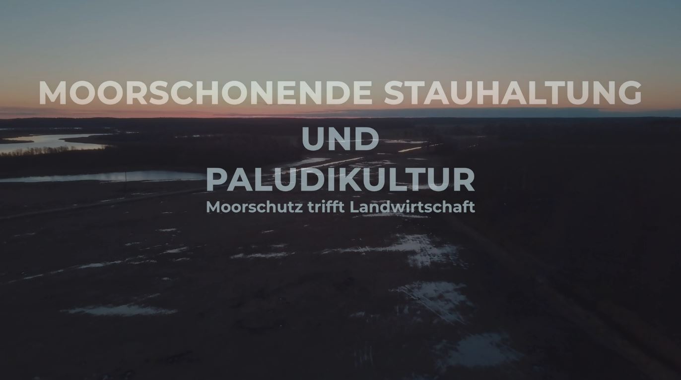 Video starten: Moorschonende Stauhaltung und Paludikultur in Mecklenburg-Vorpommern