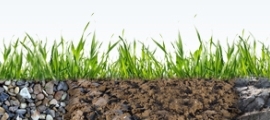 Grashalme über verschiedenen Bodenarten von steinig bis lehmig Collage: PLANET IC GmbH Motiv: Ackerboden (Feldarbeit) Foto: © Zauberhut - Fotolia.com Motiv: Grashalme Foto: © bittedankeschön - Fotolia.com Motiv: Ackerboden_2 Foto:© Thomas Otto - Fotolia.com Motiv: Steintextur Foto:© Whyona - Fotolia.com Grashalme über verschiedenen Bodenarten von steinig bis lehmig