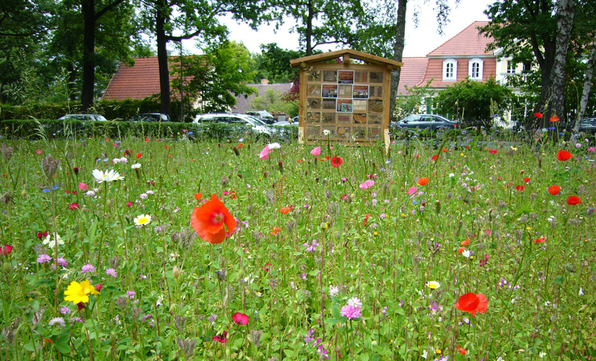 Bienenweide mit Insektenhotel © LU Bienenweide mit Insektenhotel