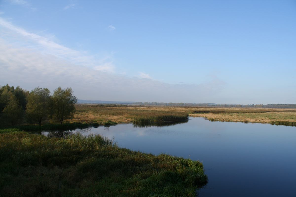 Wiedervernässtes Moor - Polder Große Rosin, am Kummerower See Wiedervernässtes Moor - Polder Große Rosin, am Kummerower See<p>© Monique Ziebarth</p>