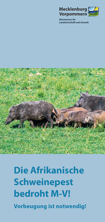 Titel Die Afrikanische Schweinepest bedroht M-V! Vorbeugung ist notwendig!