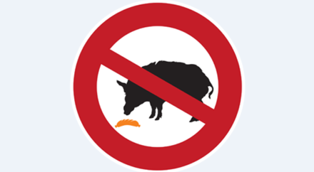 Symbolbild Schweine füttern verboten (c) BMEL