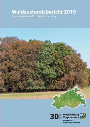 Waldzustandsbericht 2019 - Ergebnisse der Waldzustandserhebung