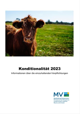 Titelseite der Konditionalität 2023 Infobroschüre