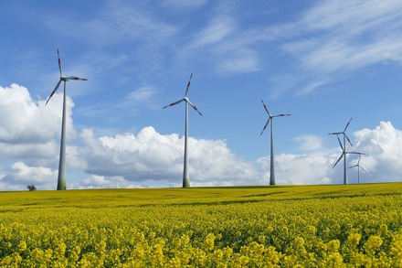Windkraftanlagen über einem Rapsfeld