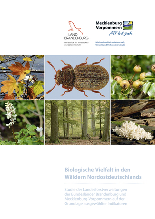 Titel Biologische Vielfalt in den Wäldern Nordostdeutschlands
