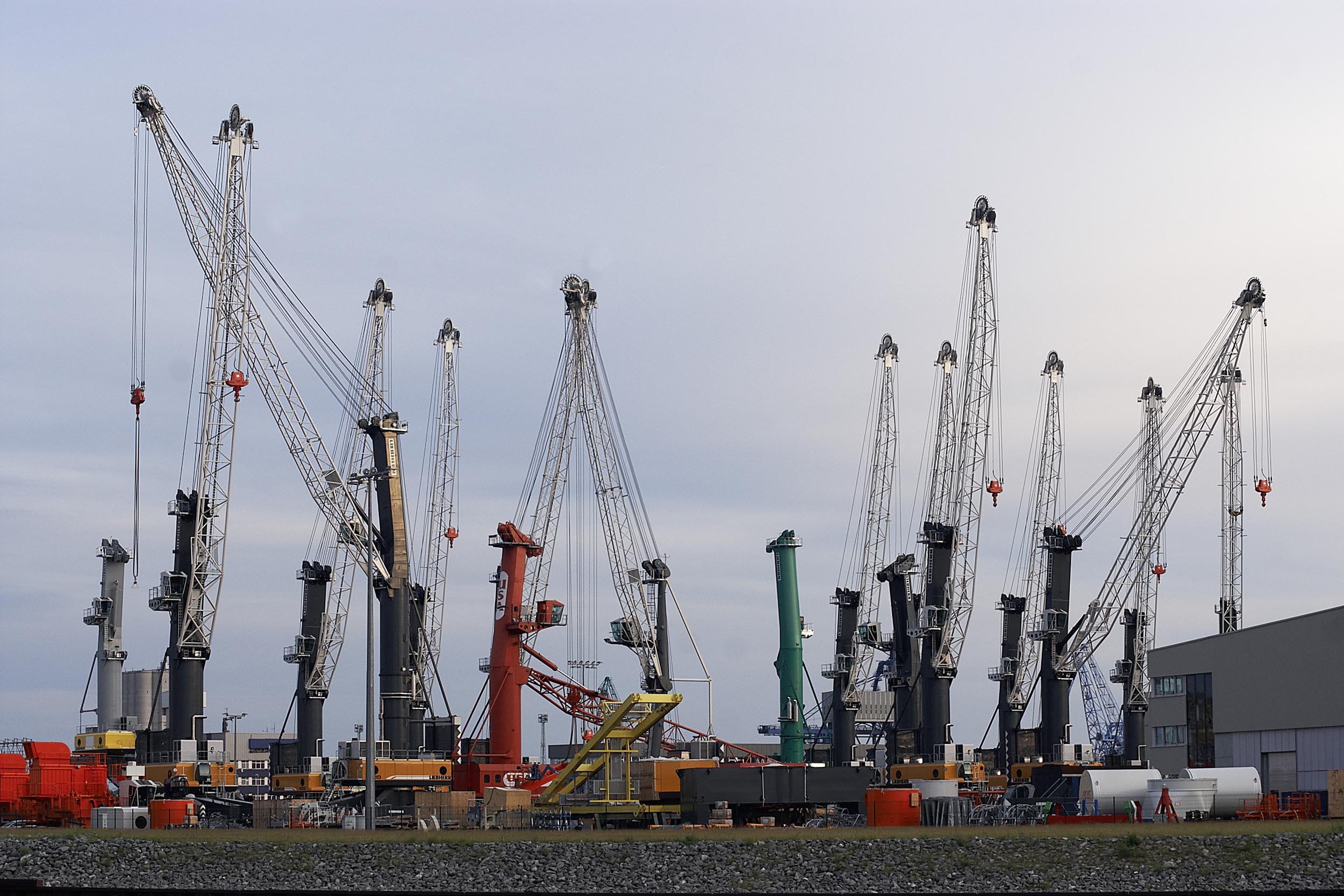 Blick auf viele Kräne an der Kaikante des Liebherr-Werkes am Rostocker Seehafen © nordlicht Blick auf viele Kräne an der Kaikante des Liebherr-Werkes am Rostocker Seehafen