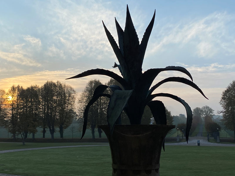 Eine der Metallagaven vor dem Park von Schloss Bothmer