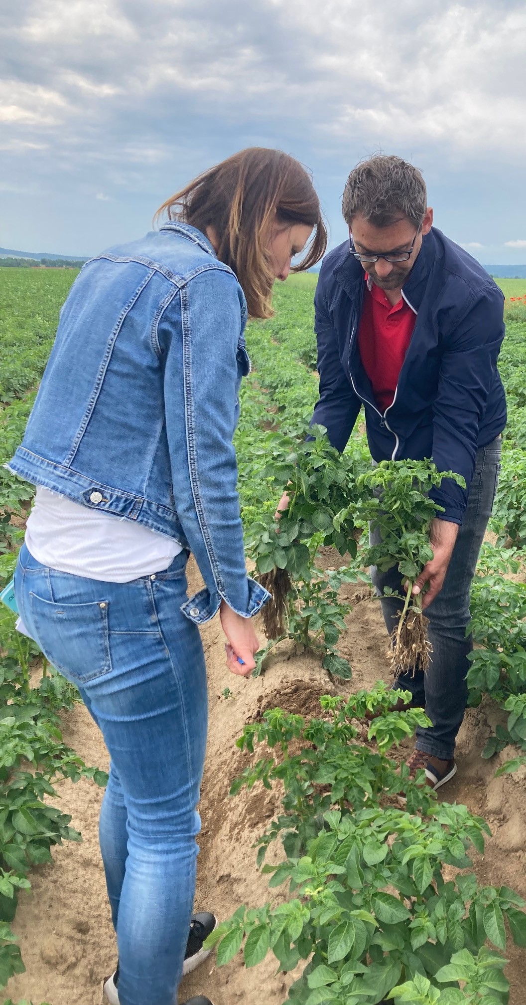 RP FM Beteiligungen LMS Bild 2