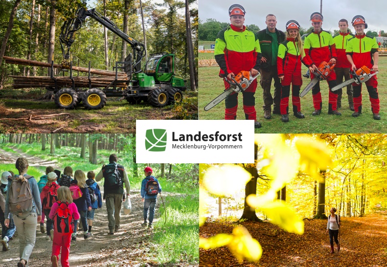 RP FM Beteiligungen Landesforst M-V Bild 1