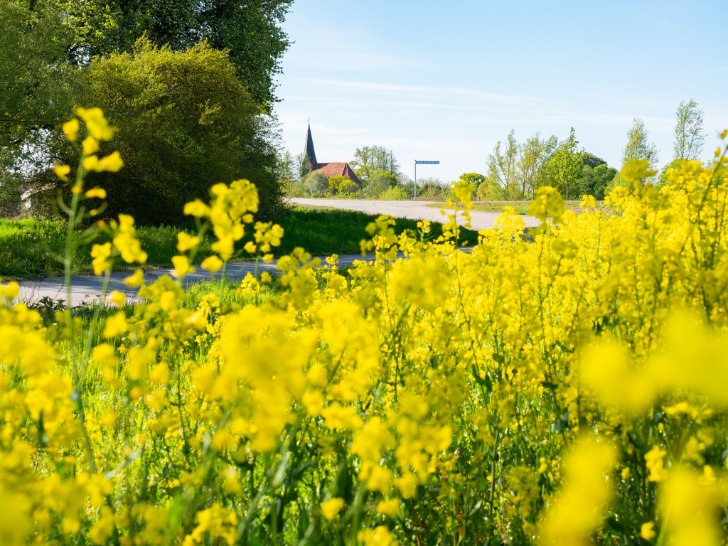 RP FM Beteiligungen Landgesellschaft Bild 1