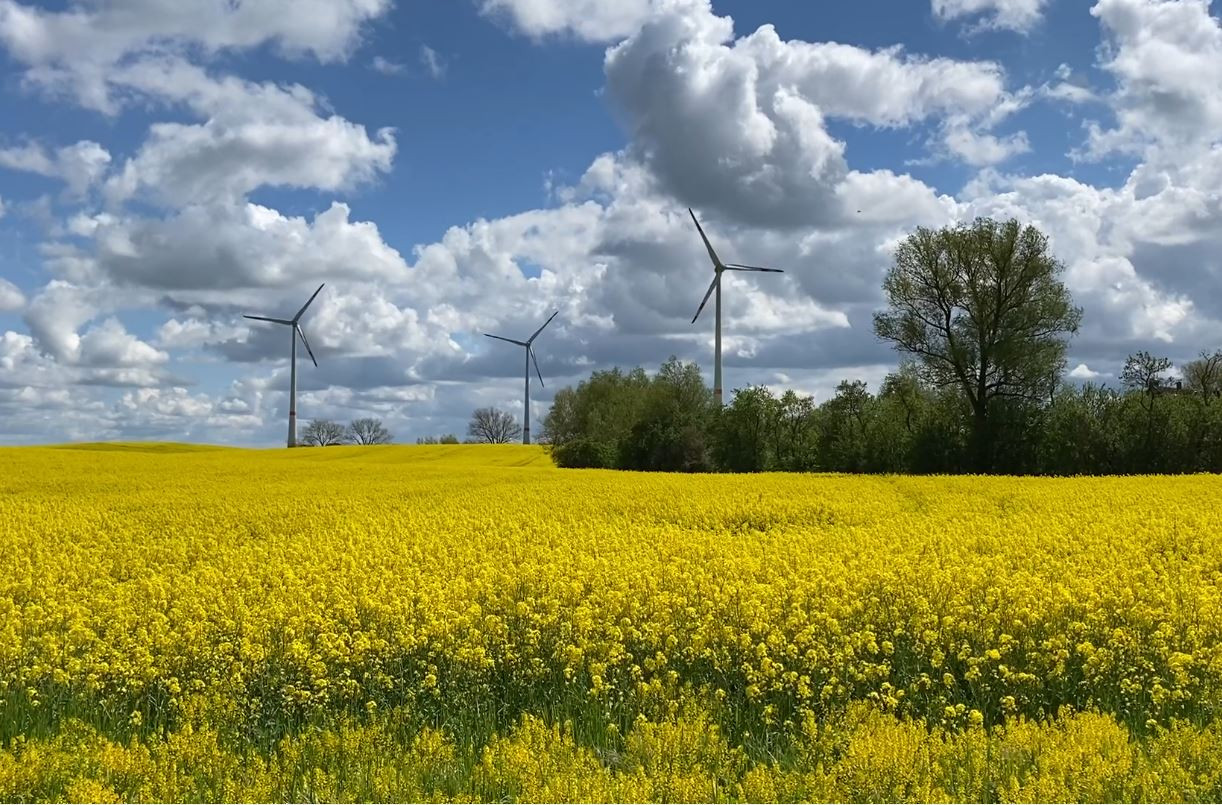 RP FM Beteiligungen Windgesellschaft Kandelin Bild 1