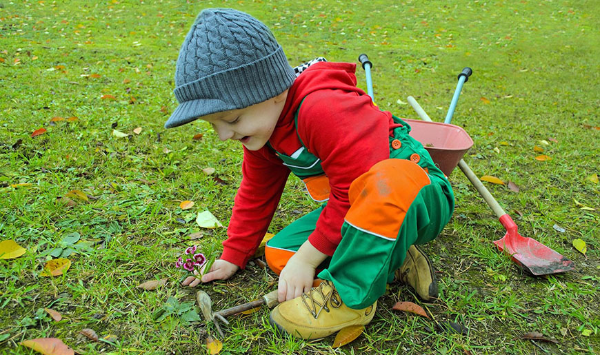 Ein Junge pflanzt eine Blume, Foto: pixabay