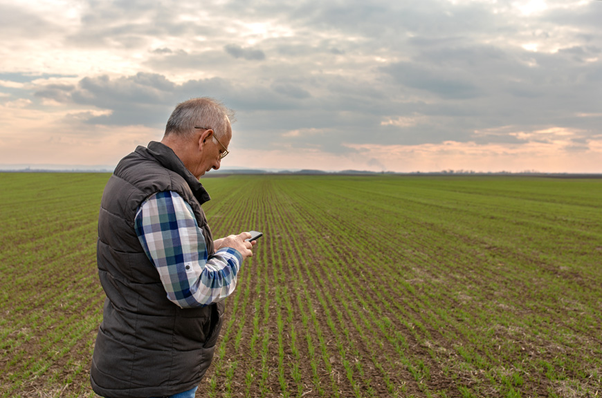 Ein älterer Landwirt nutzt sein Smartphone auf einem Feld.