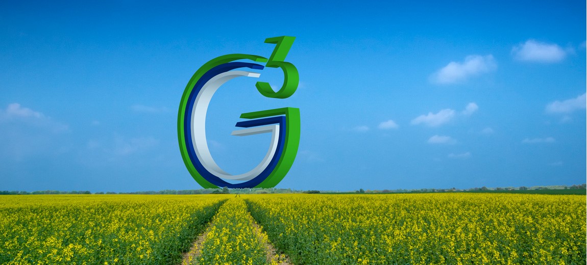 G3-Logo vor blauem Himmel in einem Rapsfeld