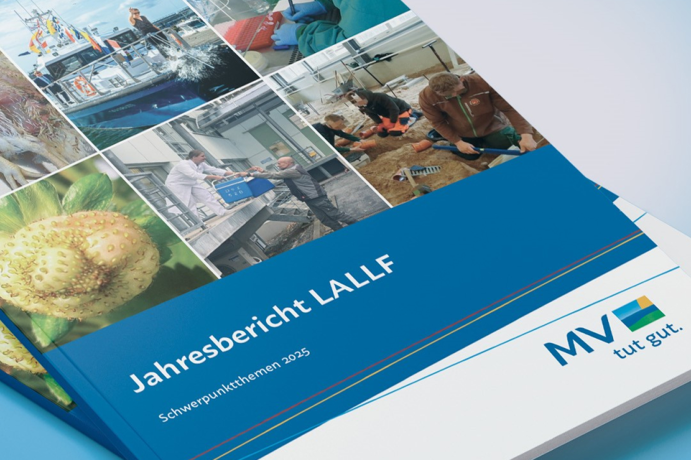 © Agentur Tinus