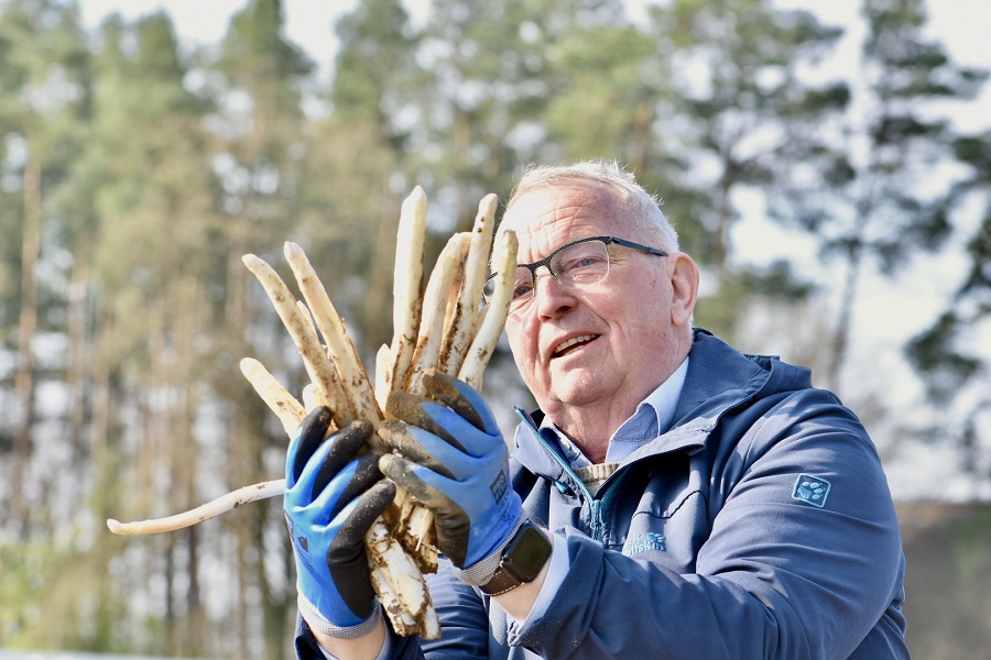 Spargel.jpeg