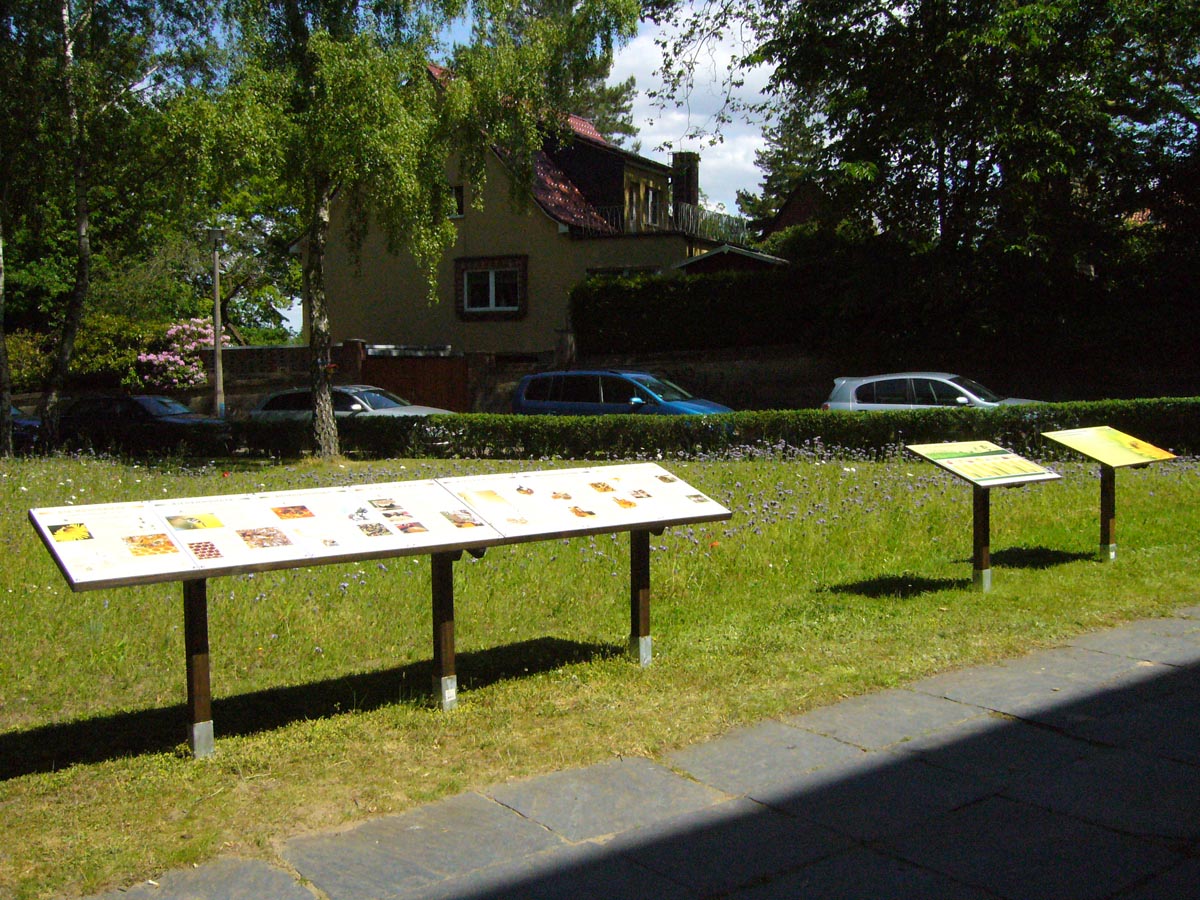 Lehrpfad Schautafeln Honigbiene