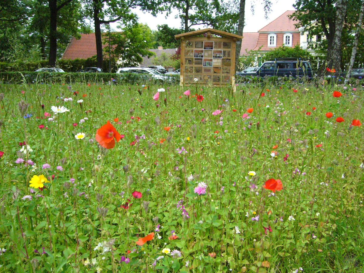 Lehrpfad Insektenhotel mit Bienenweide