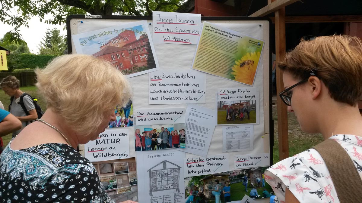 Projektpräsentation