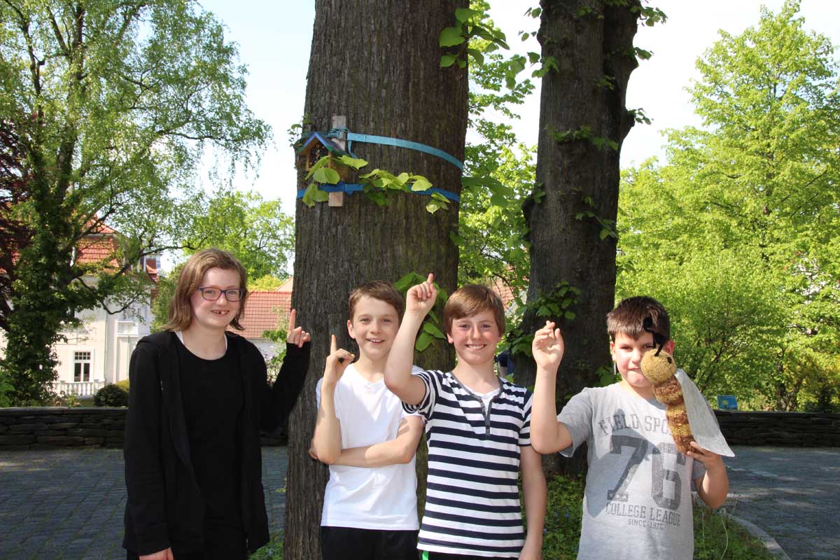 Den Mitgliedern der AG „Junge Naturforscher“ der Montessori Schule Schwerin 2017/2018 macht die Arbeit mit den Bienen Spaß