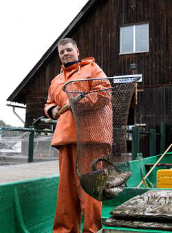 Junger Mann mit Fischereiausrüstung