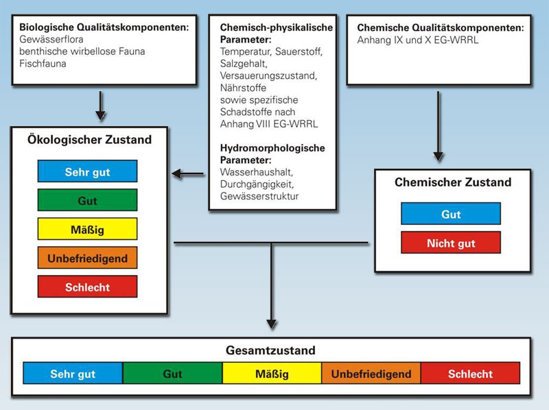 Zustandsbewertung der Oberflächengewässer nach Wasserrahmenrichtlinie Quelle: ? Zustandsbewertung der Oberflächengewässer nach Wasserrahmenrichtlinie