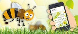 Zeichtrichbiene mit Smartphone