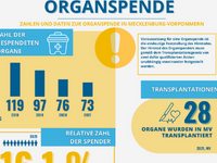 Anreisserbild Facsheet Organspende.png (Download: Factsheet zum Download)