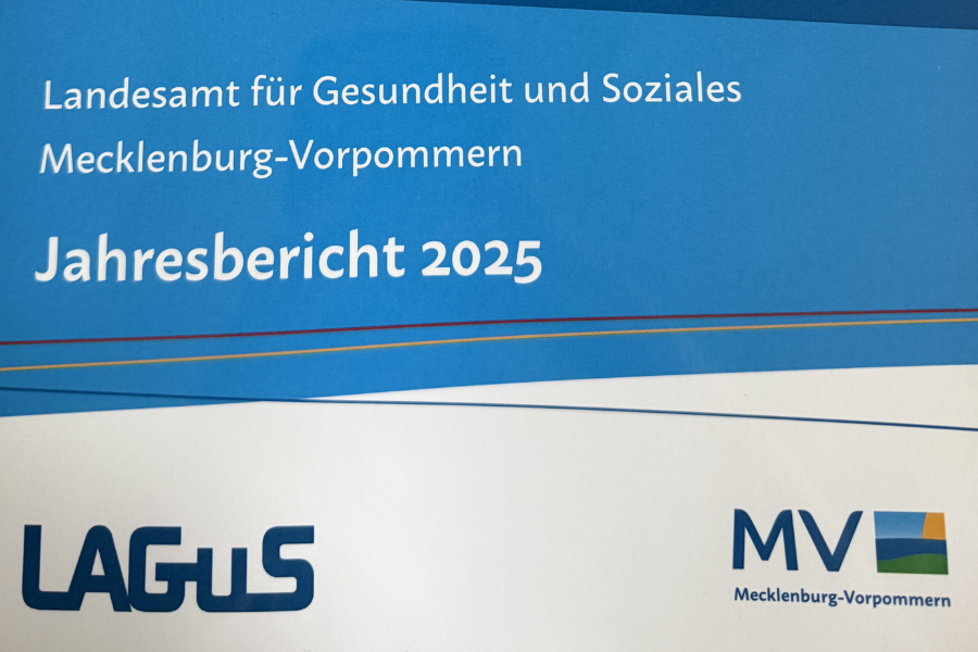 Titelbild LAGuS Bericht