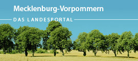 Allee entlang einer Landstraße mit der Überschrift "Mecklenburg-Vorpommern - das Landesportal"